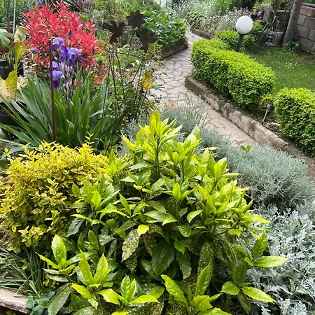 דירה Evksinograd וארנה