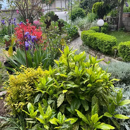 Evksinograd Apartman