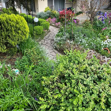 Evksinograd Apartman